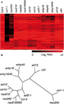 www.frontiersin.org