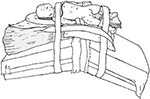www.frontiersin.org