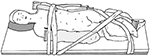 www.frontiersin.org