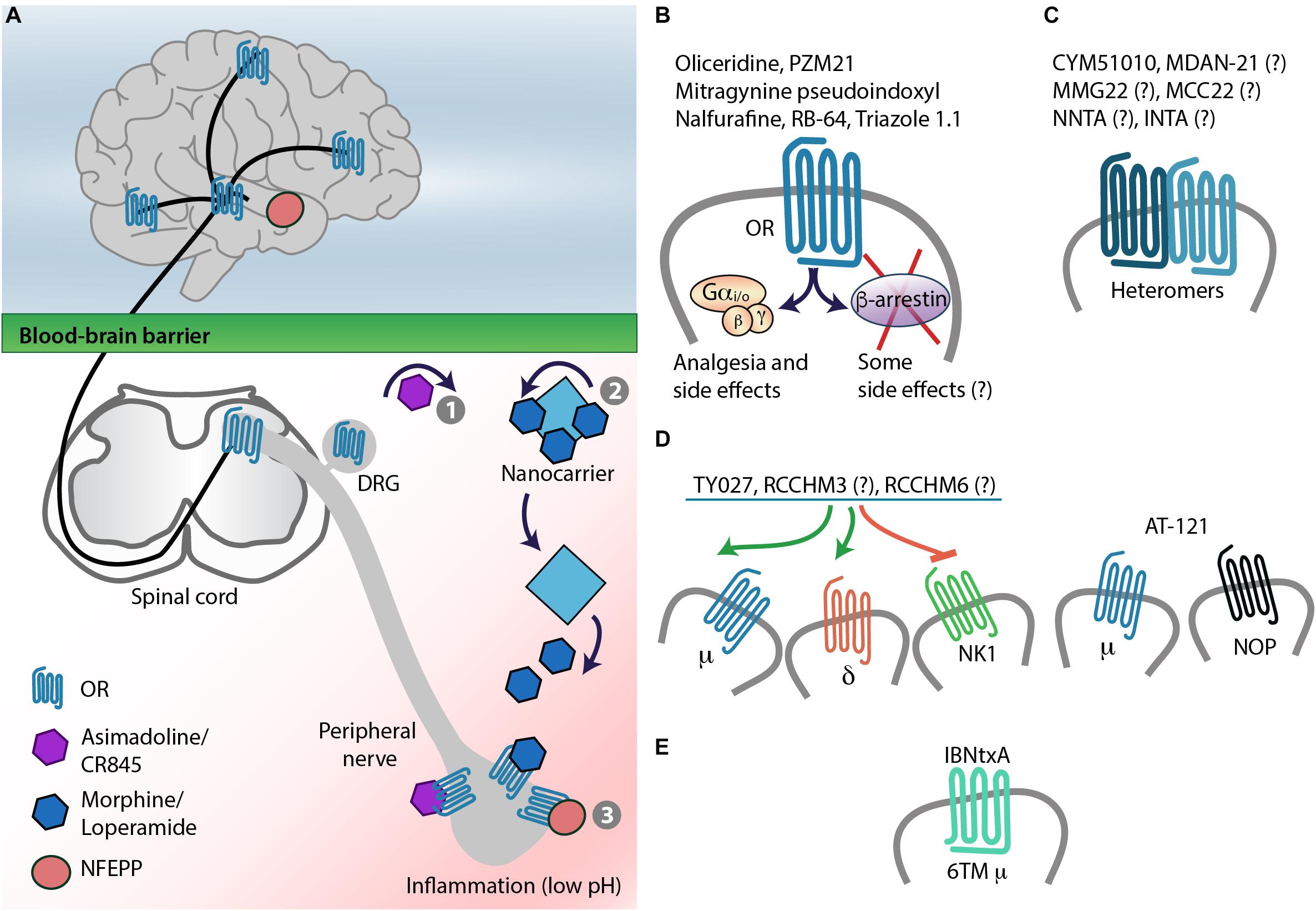 Frontiers | Advances in Achieving Opioid Analgesia Without Side Effects