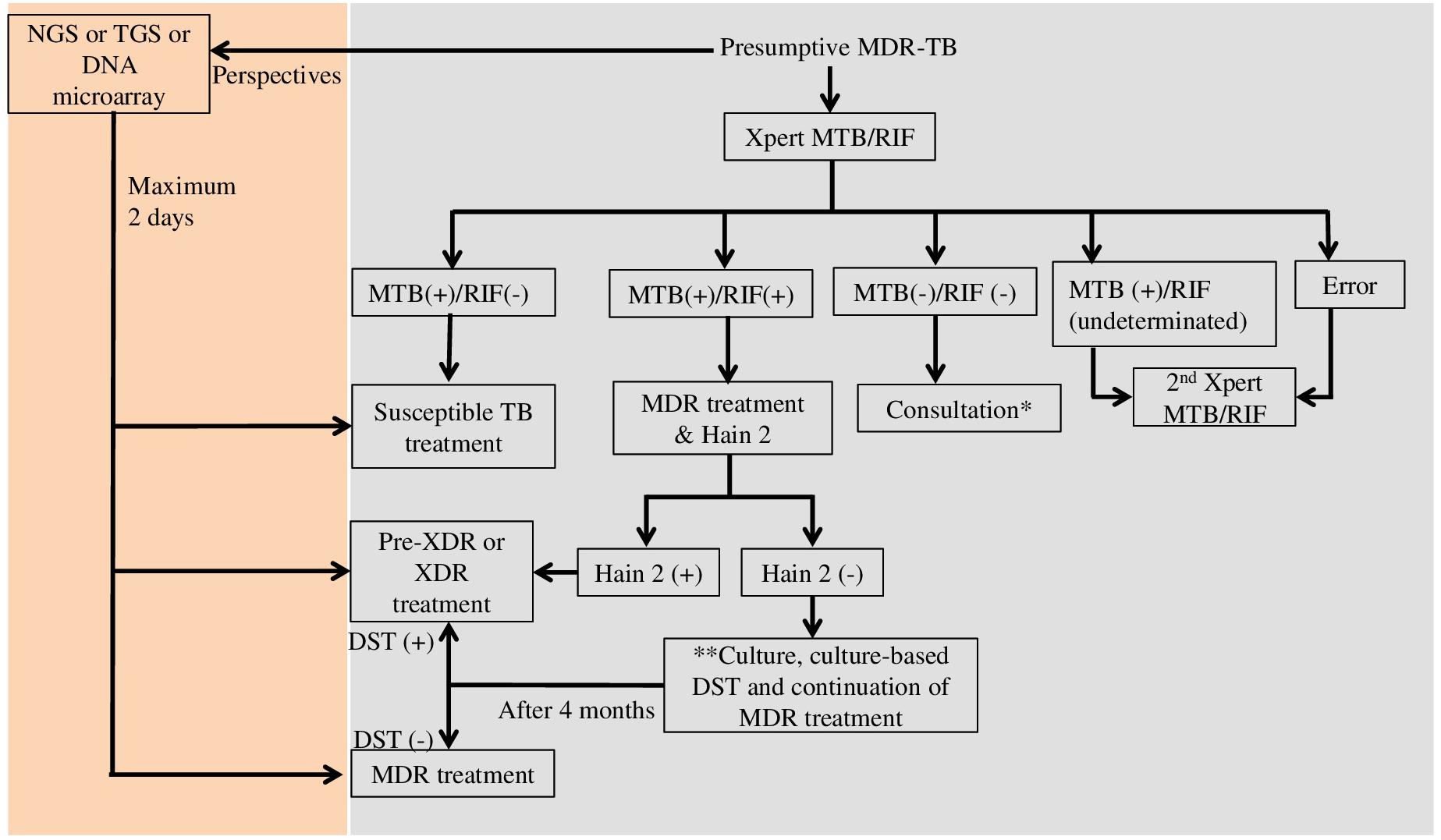 T AND D DIAGNOSTICS INDIA PVT. LTD. - td diagnostics