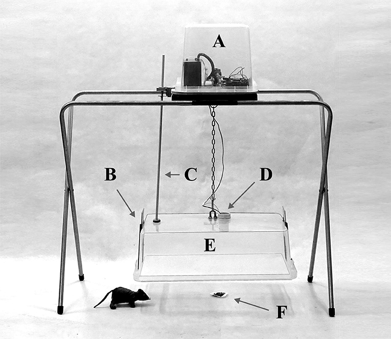 Do you think using snap-traps (killing mouse traps) should be fobidden in  small mammal research?