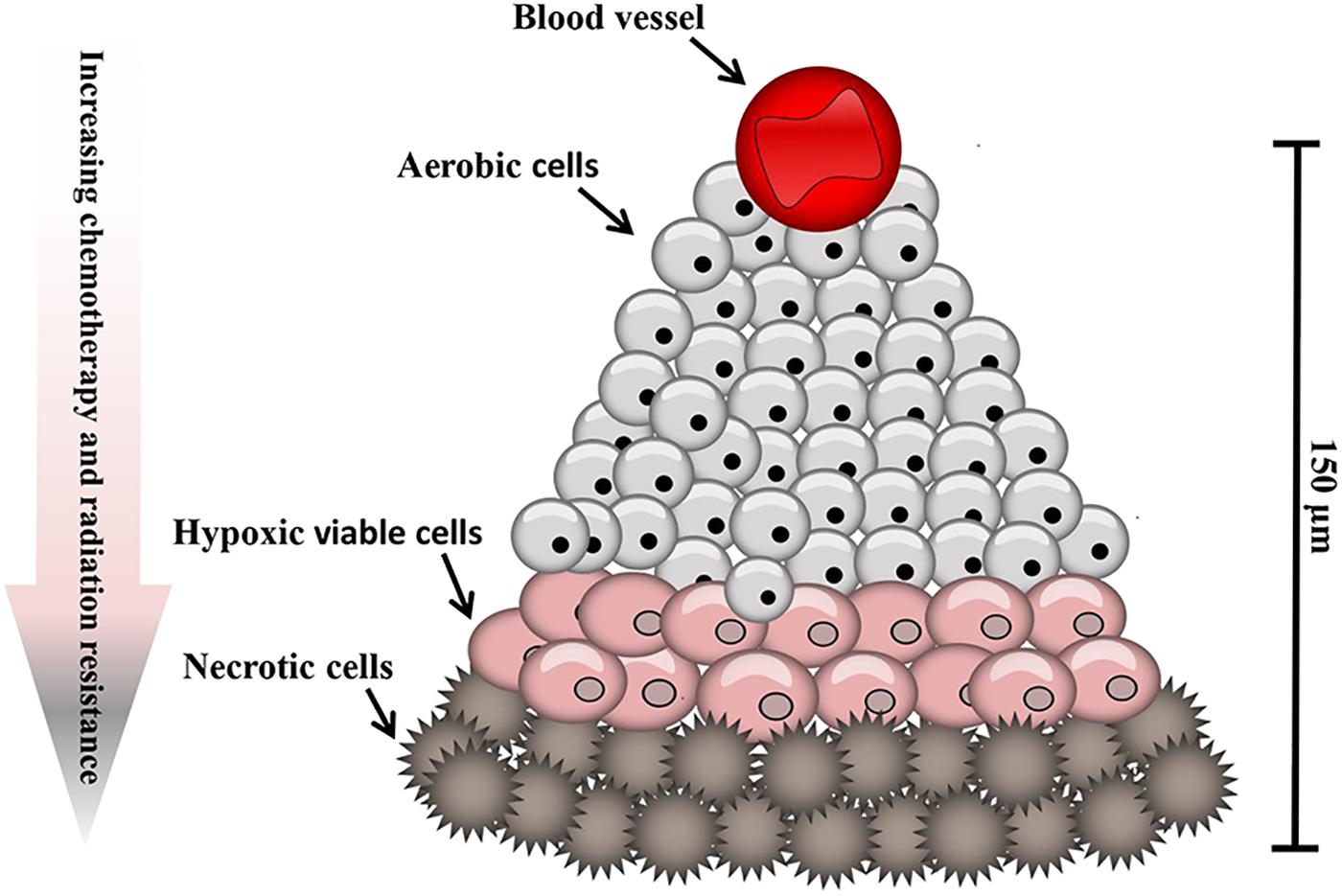 can cancer cause abdominal pain