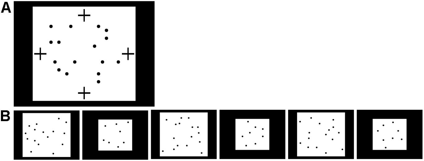 www.frontiersin.org