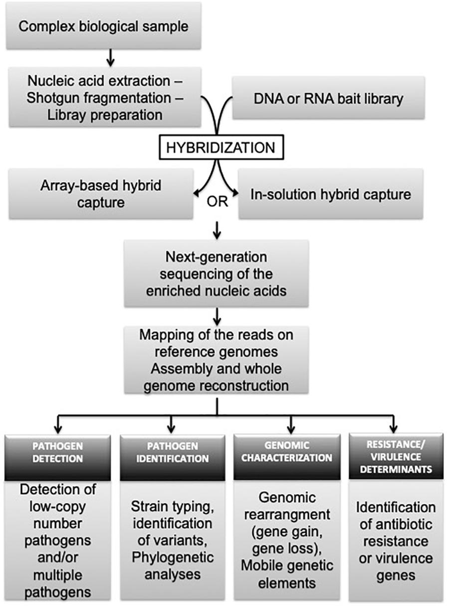 Session 2: Expanding Frontiers of Genomic Medicine Enabled by  Cost-Effective Next Generation Sequencing