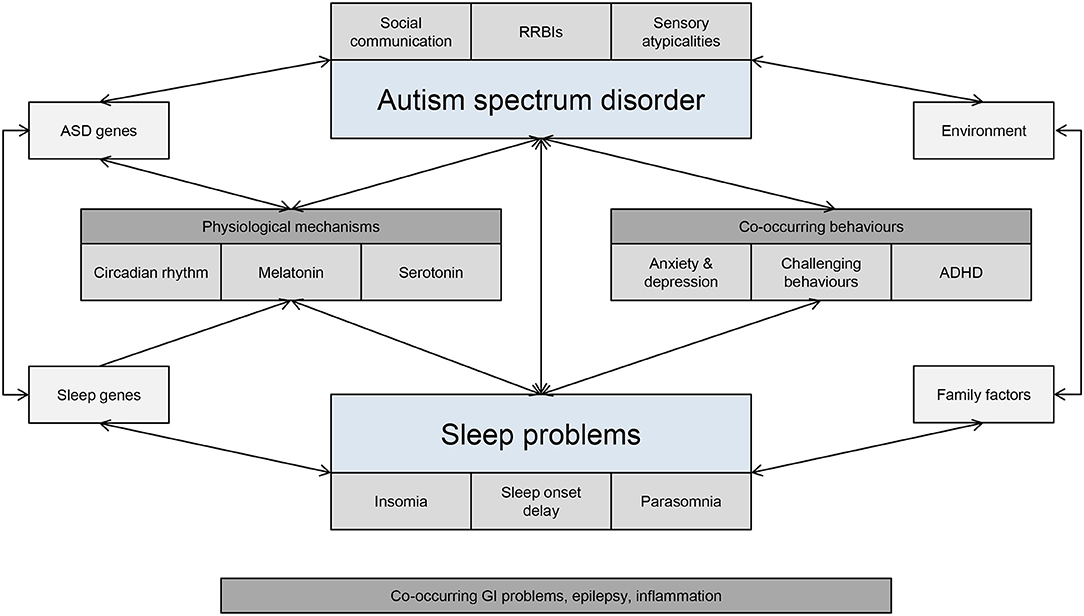 Study Affirms Prospect Of Autism Blood >> Frontiers Characterizing The Interplay Between Autism Spectrum Study Affirms Prospect Of Autism Blood >> Frontiers Characterizing The Interplay Between Autism Spectrum