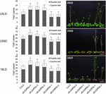 Frontiers | Arabidopsis U2AF65 Regulates Flowering Time and the Growth ...