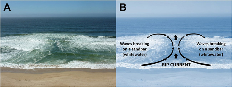 How do ocean currents work