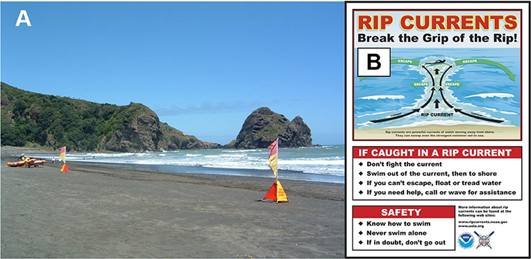 Figure 2 - (A) The best way to avoid rip currents is to swim in an area with lifeguards, such as between the pair of red and yellow flags on this New Zealand beach (photo: Jodie Wilson).