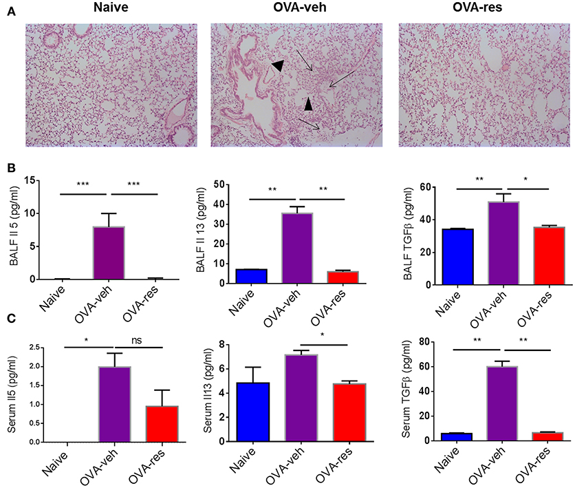Frontiers Resveratrol Attenuates Allergic Asthma and Associated