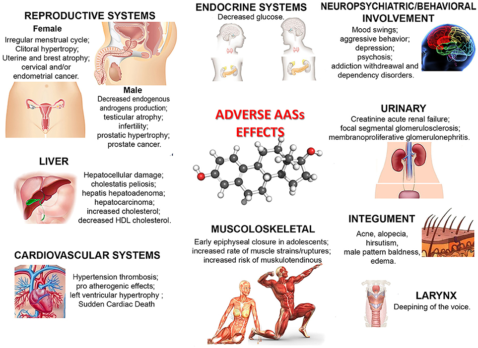 50 Reasons to do steroids shrink your penis in 2021