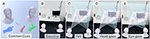 www.frontiersin.org