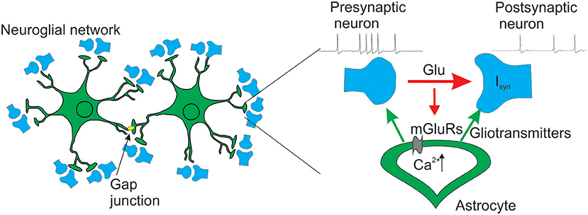 Multiple forms of working memory emerge from synapse–astrocyte interactions  in a neuron–glia network model