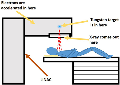 Figure 1 - Inside a medical linear accelerator (LINAC), electrons are accelerated to extremely high speeds and slammed into a tungsten target.