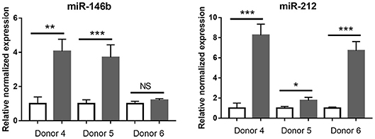 Frontiers | Immunological Molecular Responses of Human