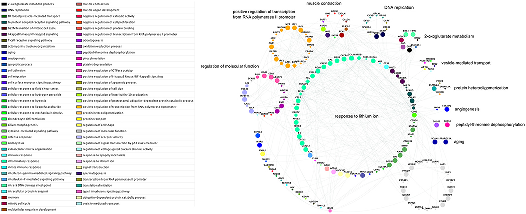 Frontiers | Immunological Molecular Responses of Human