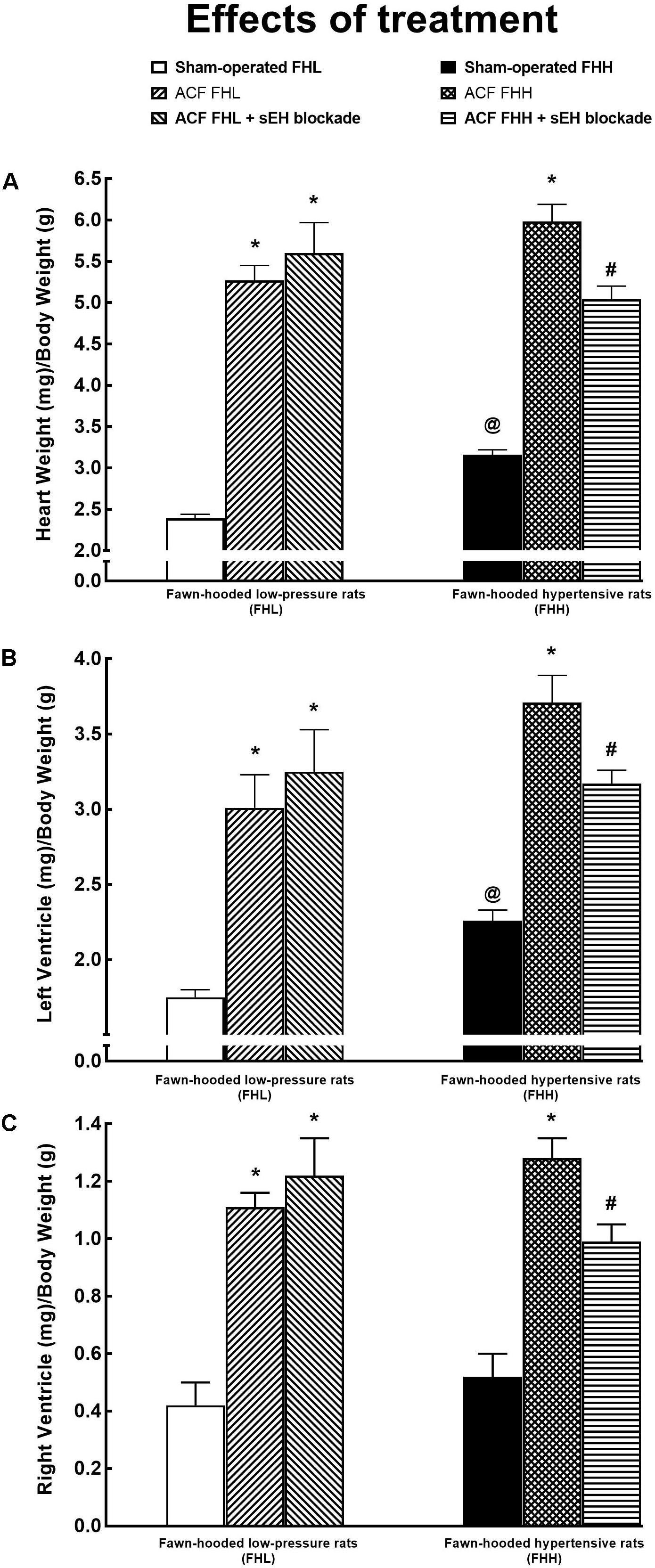 Soluble epoxide hydrolase is a susceptibility factor for heart failure in a  rat model of human disease