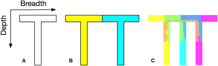 www.frontiersin.org