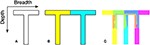 www.frontiersin.org