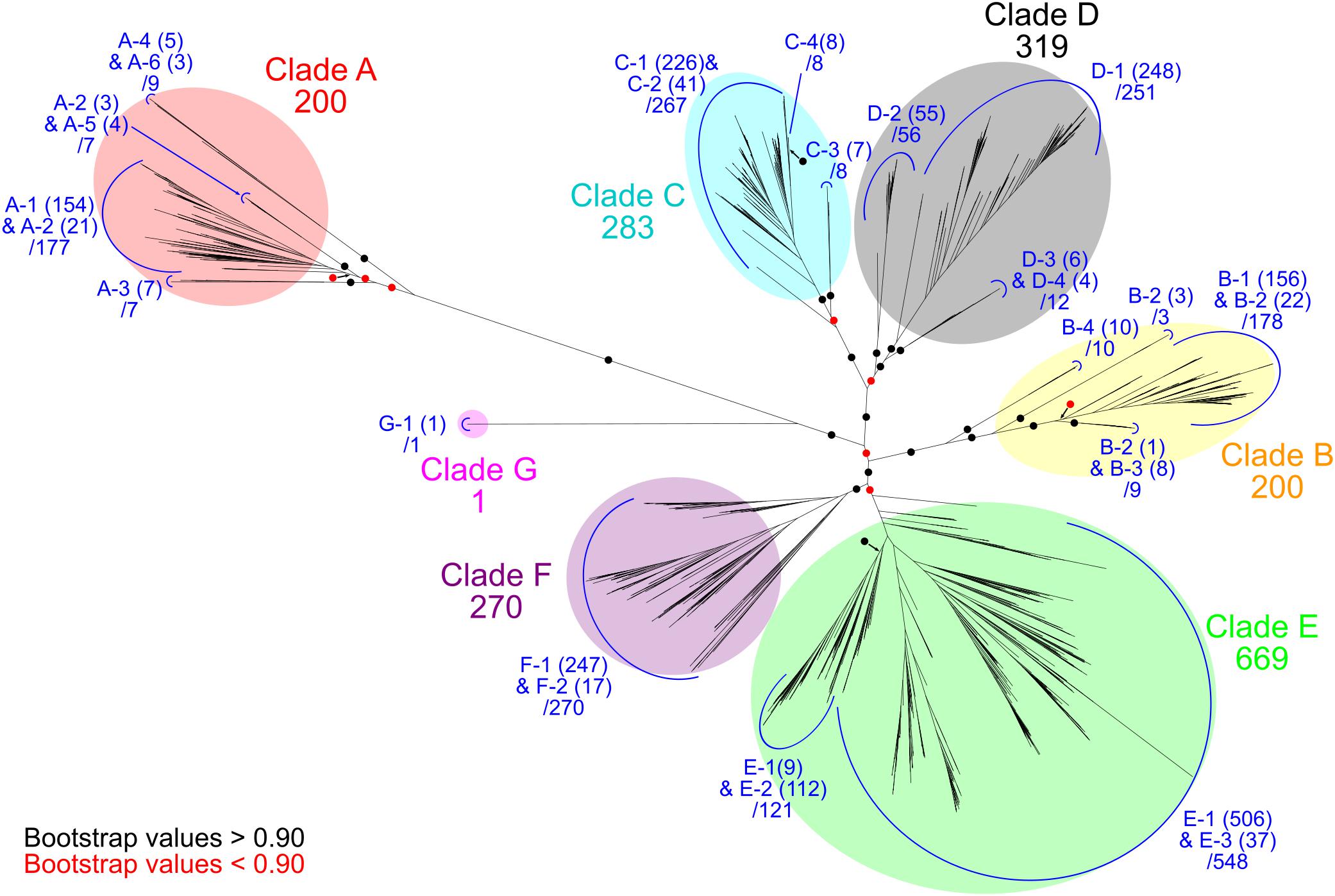 Frontiers Structural And Phylogenetic Diversity Of Anaerobic Carbon Monoxide Dehydrogenases Microbiology