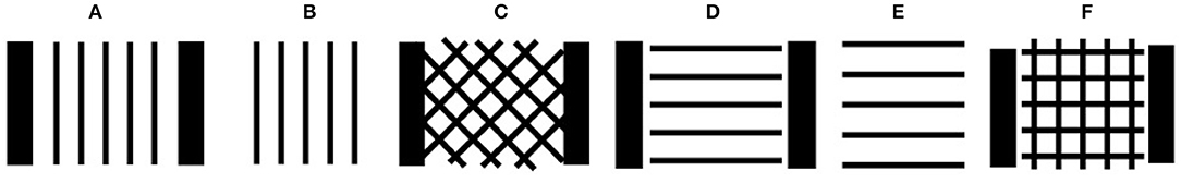 www.frontiersin.org