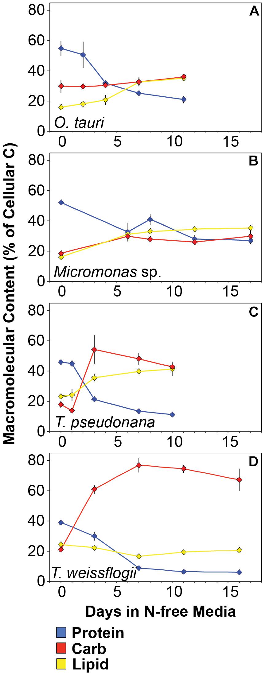 Macromolecule Comparison Chart