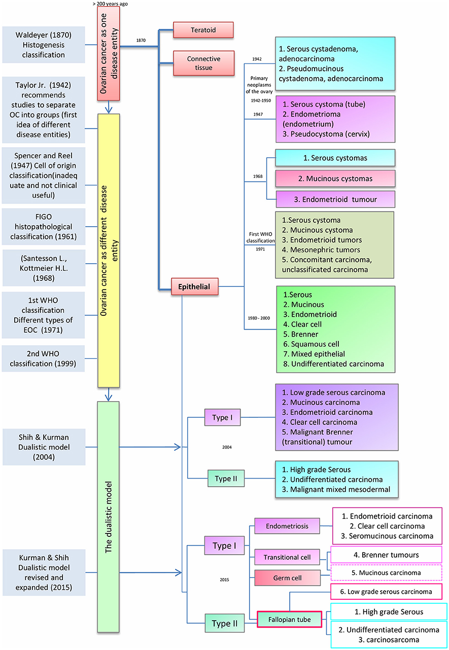 Ovarian cancer epithelial types, Ovarian cancer epithelial type - Ovarian cancer epithelial types