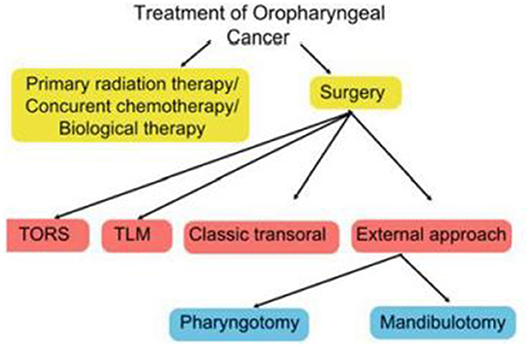 hpv and oropharyngeal cancer ppt