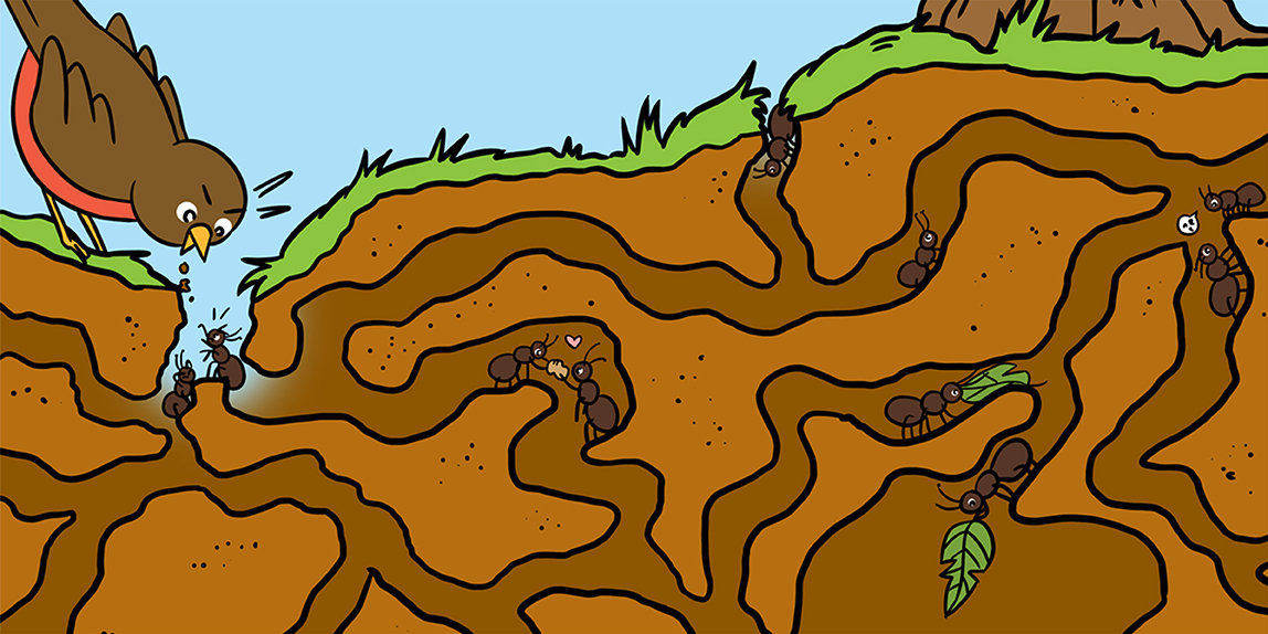 PDF) Mutualistic interactions between ants and fungi: A review