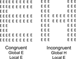 www.frontiersin.org