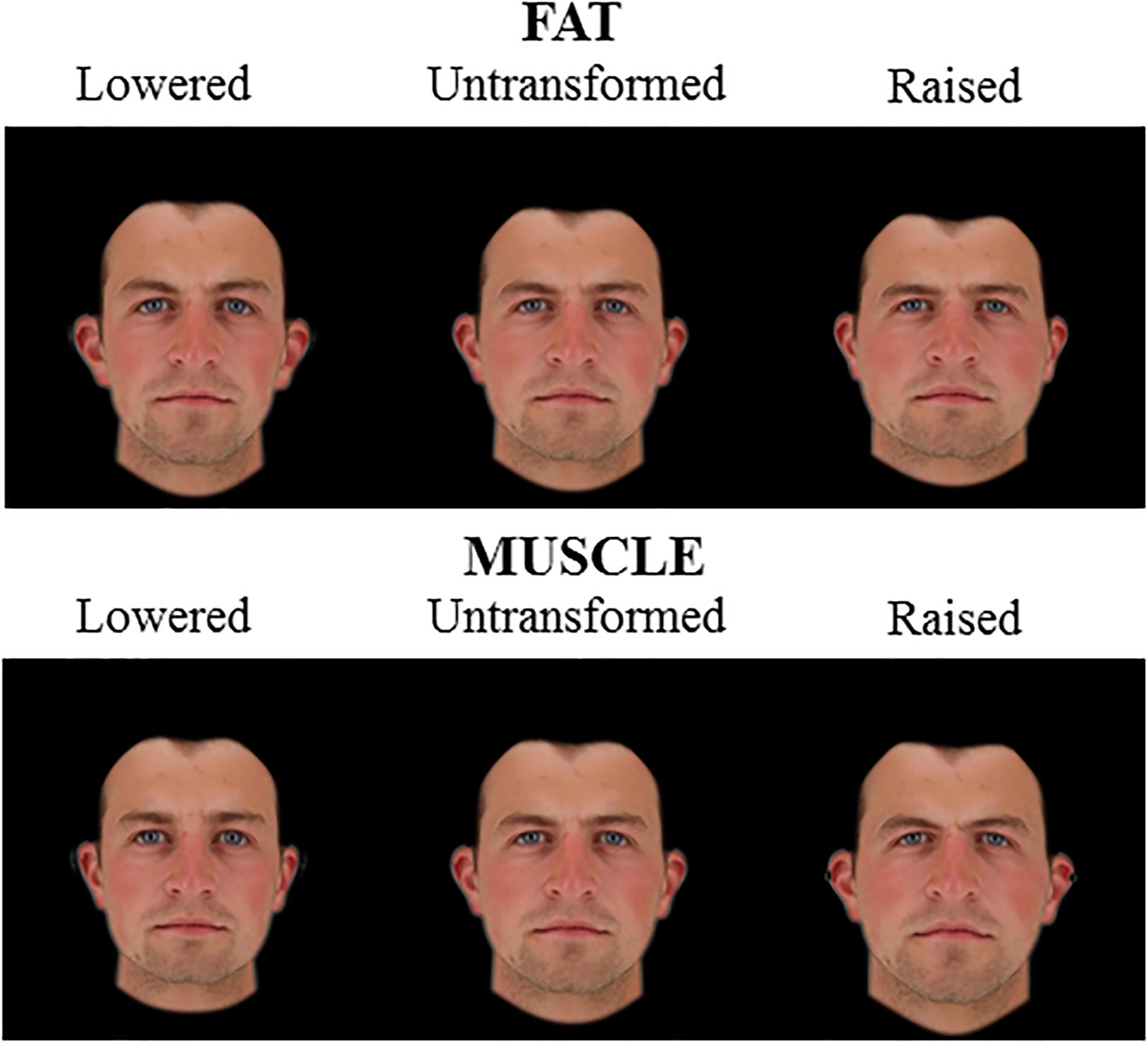 To men are attracted women fat some why Why men