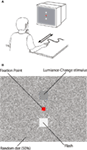 www.frontiersin.org