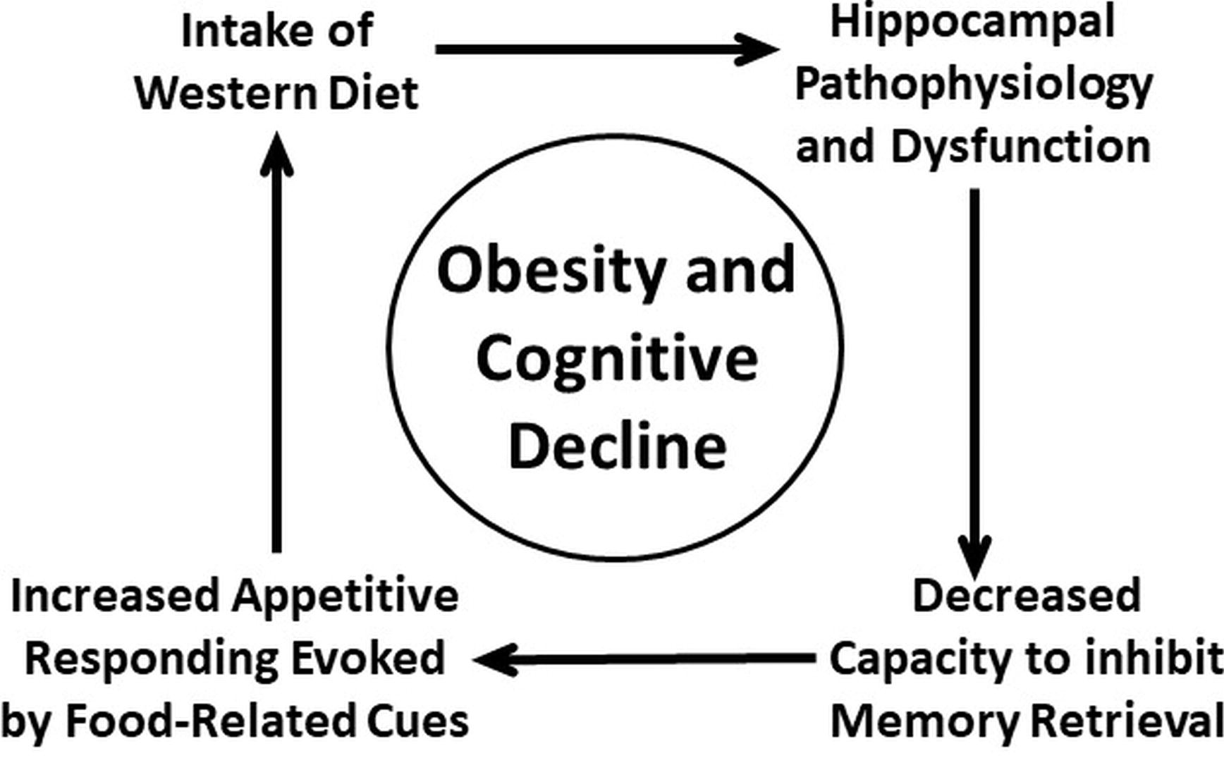 Do We Eat to Live or Live to Eat - Obesity Action Coalition