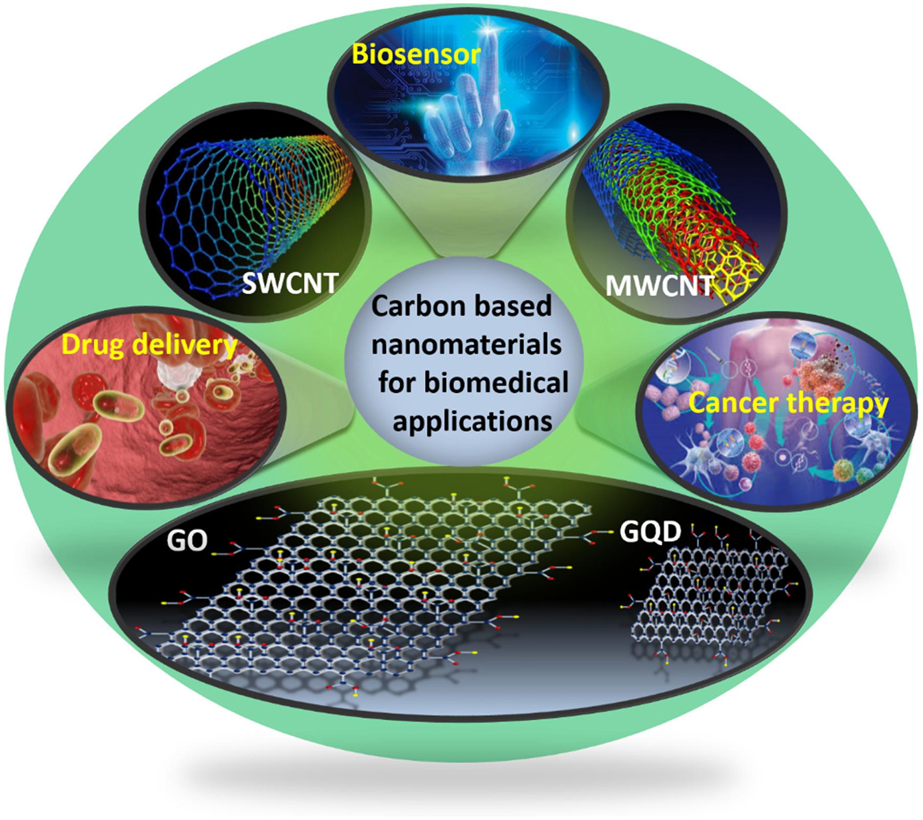 Frontiers | Carbon-Based Nanomaterials for Biomedical Applications: A ...