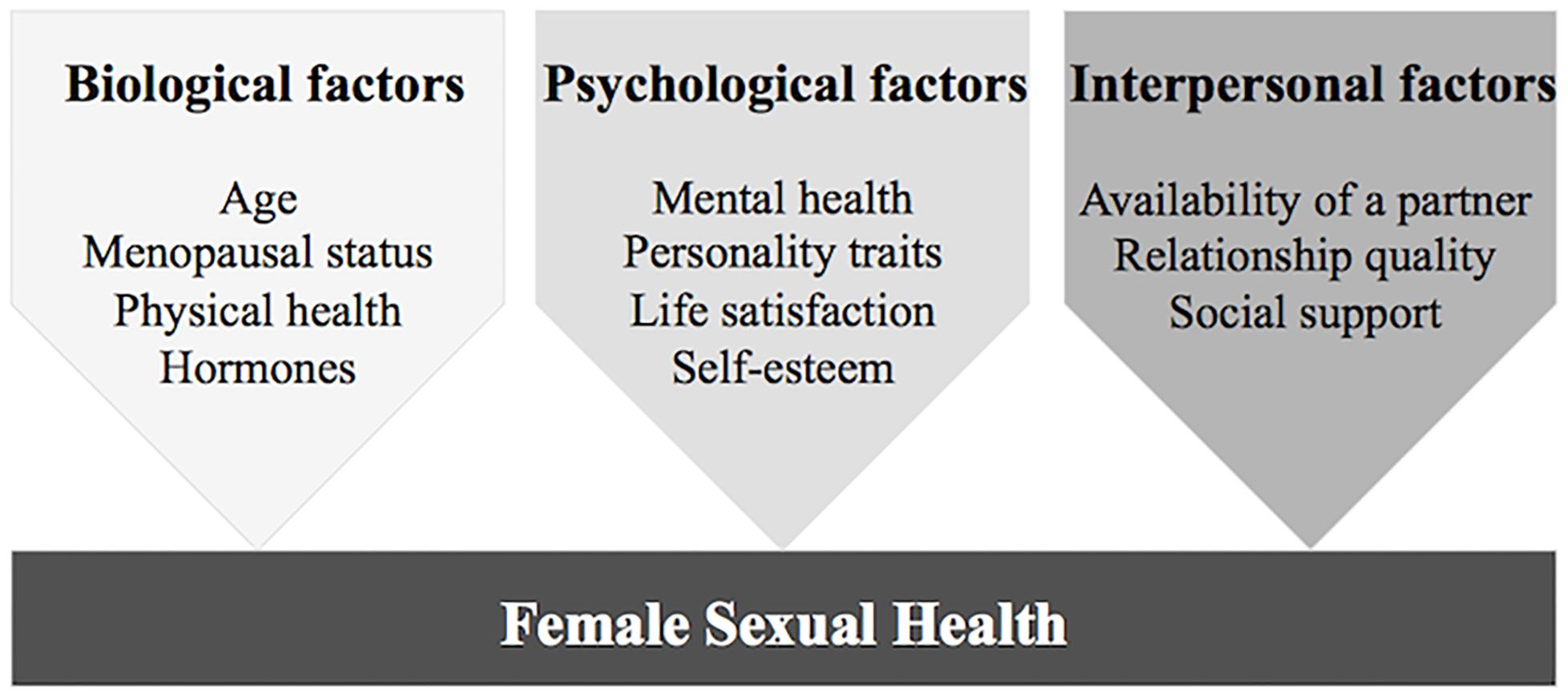 Frontiers Psychobiological Factors of Sexual Functioning in Aging Women