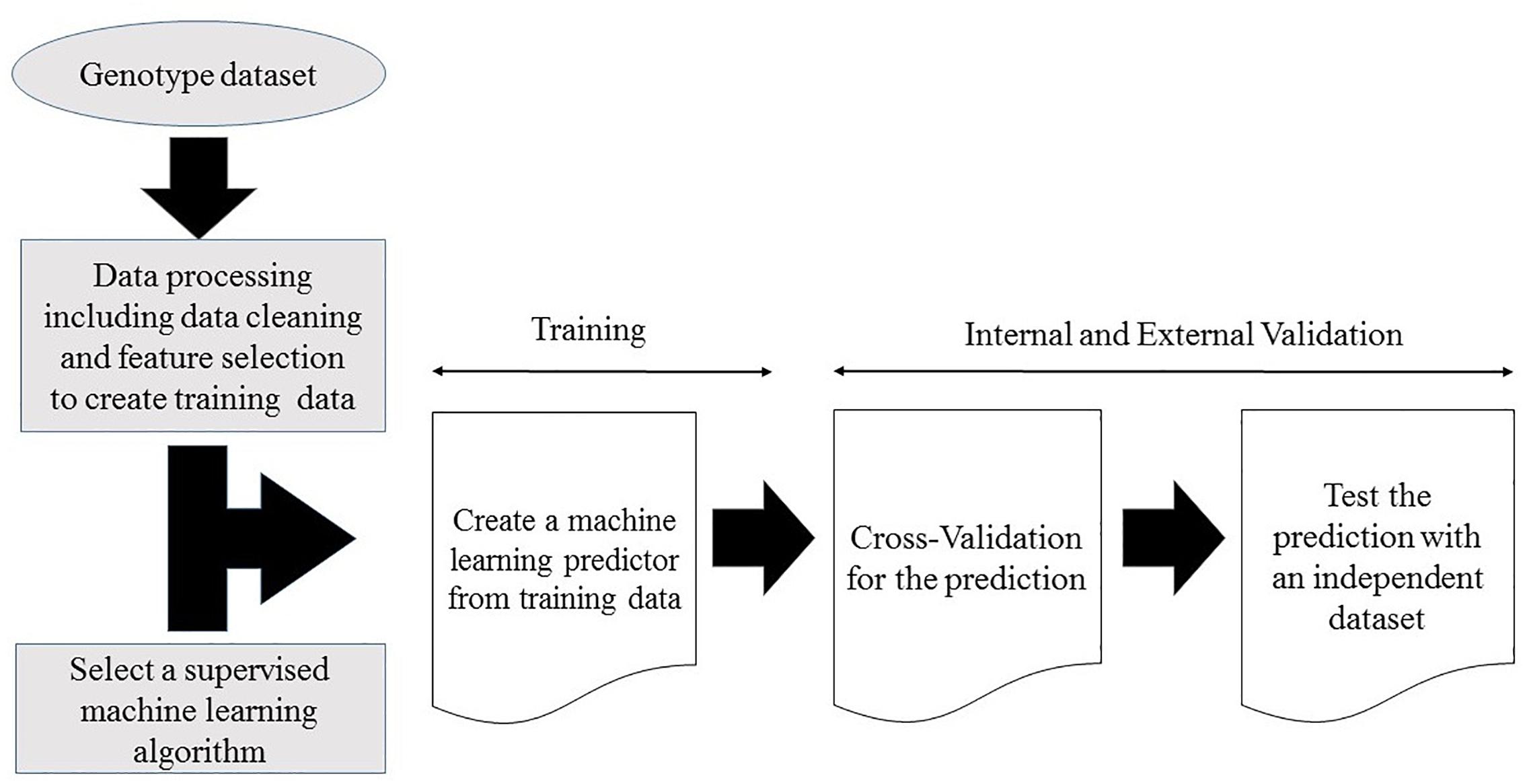 machine learning with r datasets