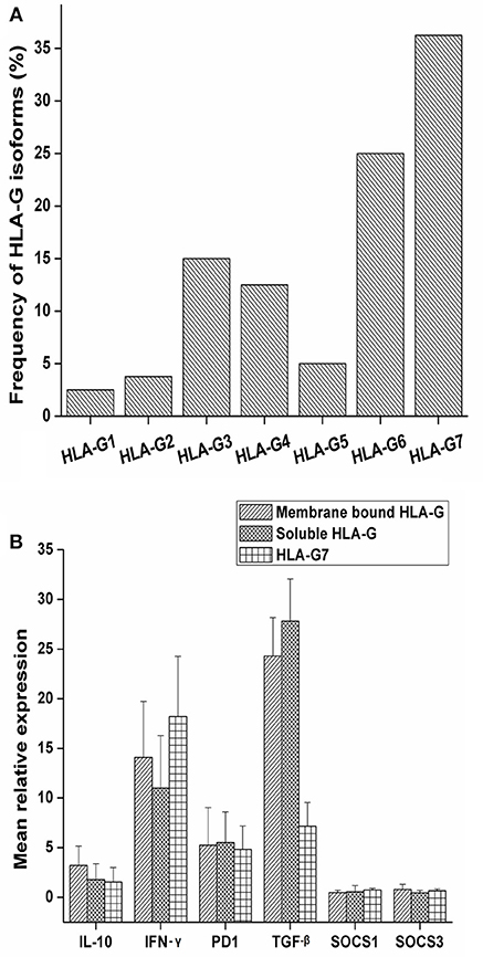 Frontiers Immune Modulation In Hla G Expressing Head And Neck Squamous Cell Carcinoma In Relation To Human Papilloma Virus Positivity A Study From Northeast India Oncology
