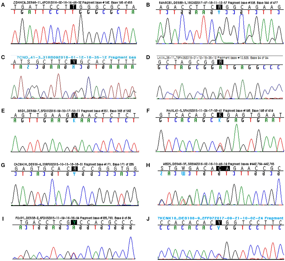 Frontiers Targeted Next Generation Sequencing Of Korean Patients With Developmental Delay And Or Intellectual Disability Pediatrics