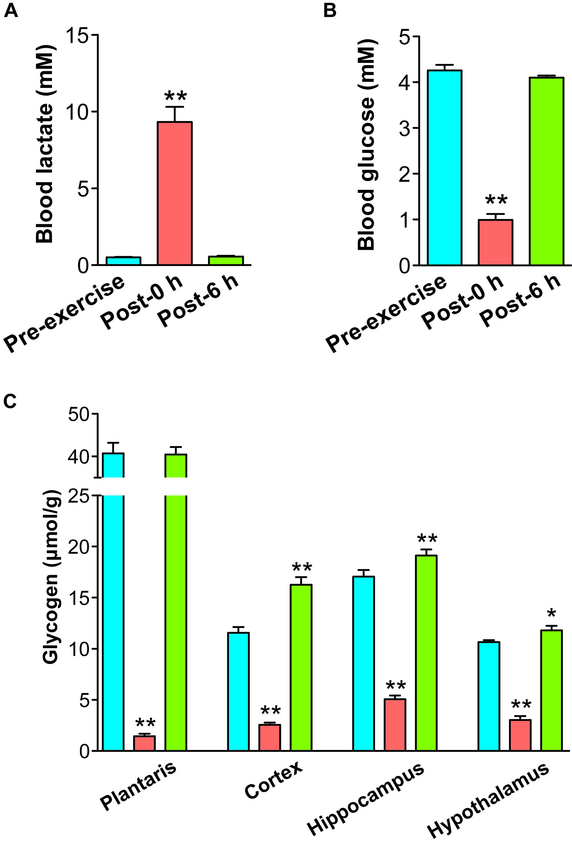 Frontiers | Tyrosine as a Mechanistic-Based Biomarker for Brain Glycogen Decrease and Supercompensation With Rats: A Metabolomics Study of Plasma |