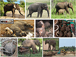 www.frontiersin.org