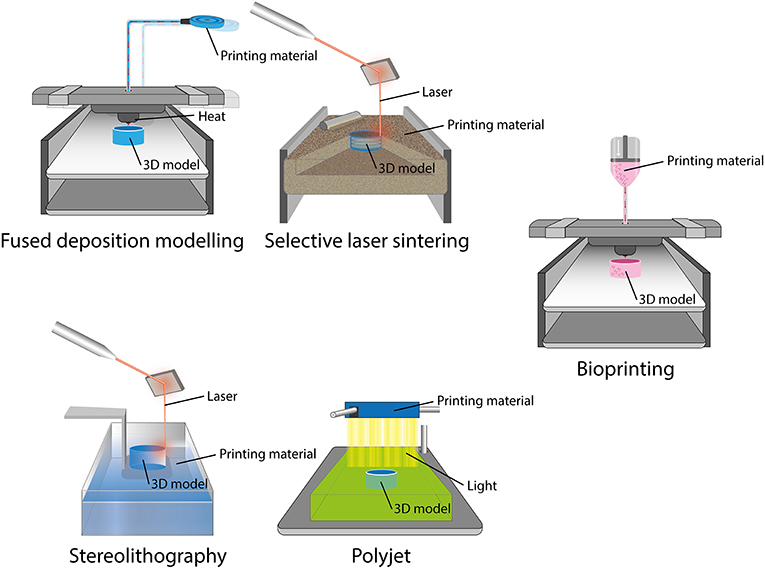 Materializing! What Can Dentists Do With 3D Printers? · Frontiers for ... - Figure 1