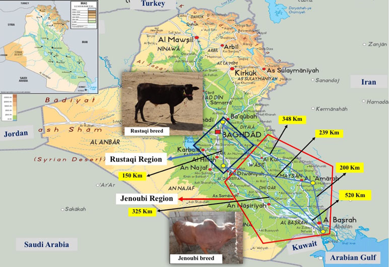 www.frontiersin.org