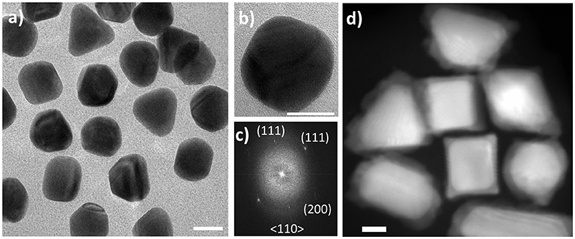 octopod core shell nanoparticles