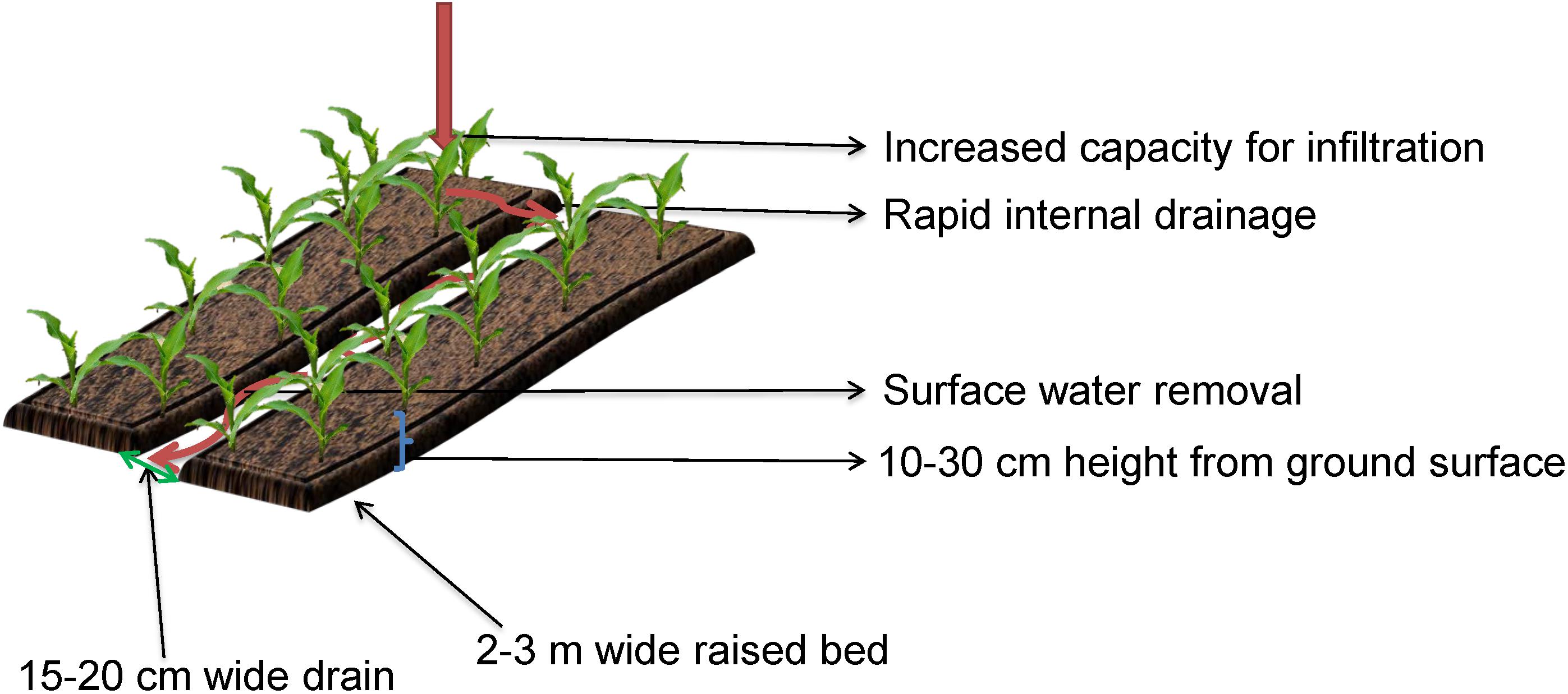 Frontiers Soil And Crop Management Practices To Minimize The