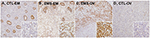 www.frontiersin.org