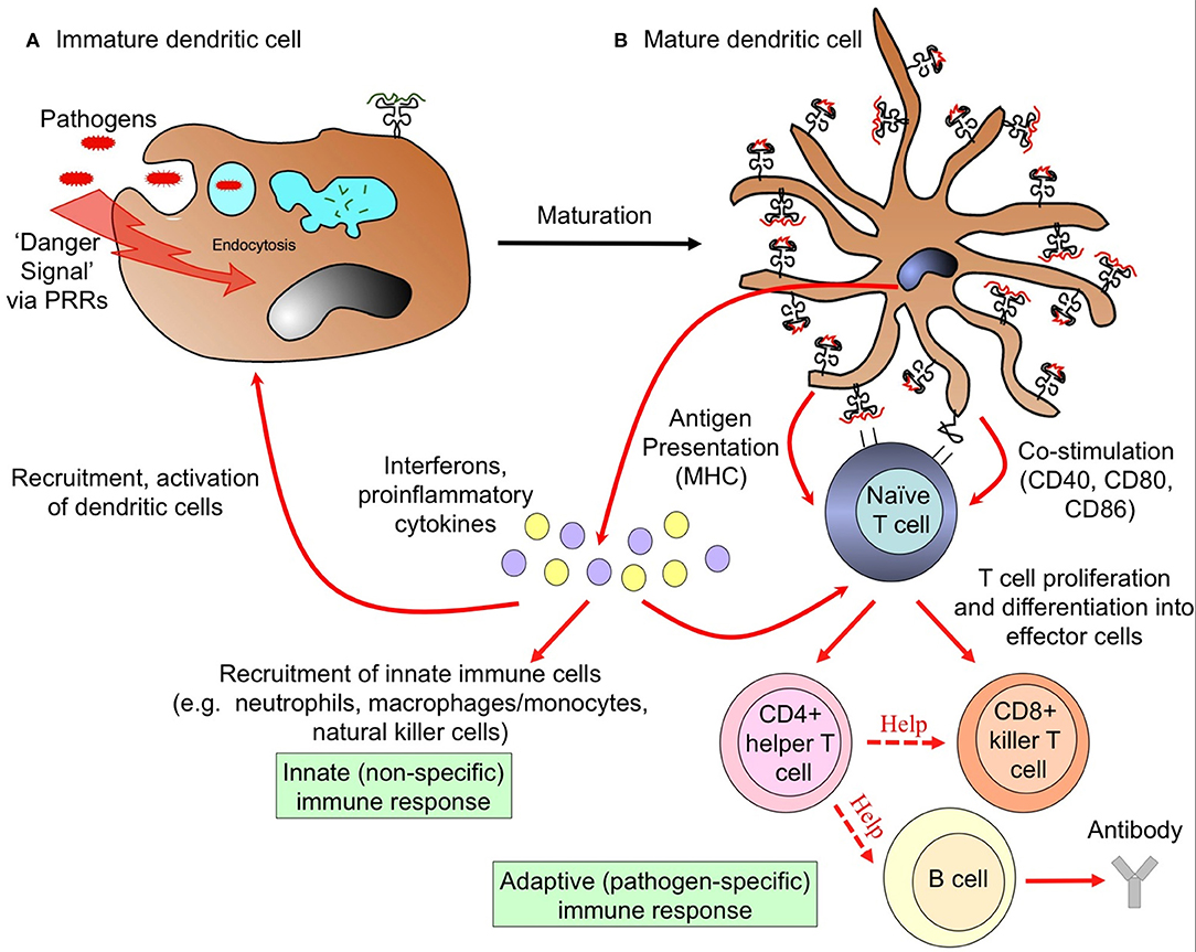 Extracellular Vesicles