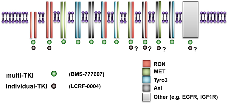 types of cancer ribbon colors