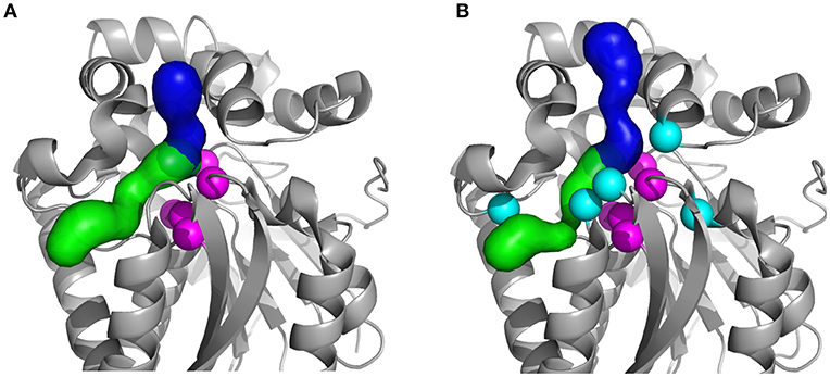 Protein electrostatics: From computational and structural analysis to discovery of functional fingerprints and biotechnological design - Computational and Structural Biotechnology Journal