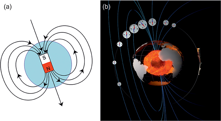 Making a Map of the Magnetic Field · Frontiers for Young Minds