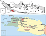 www.frontiersin.org